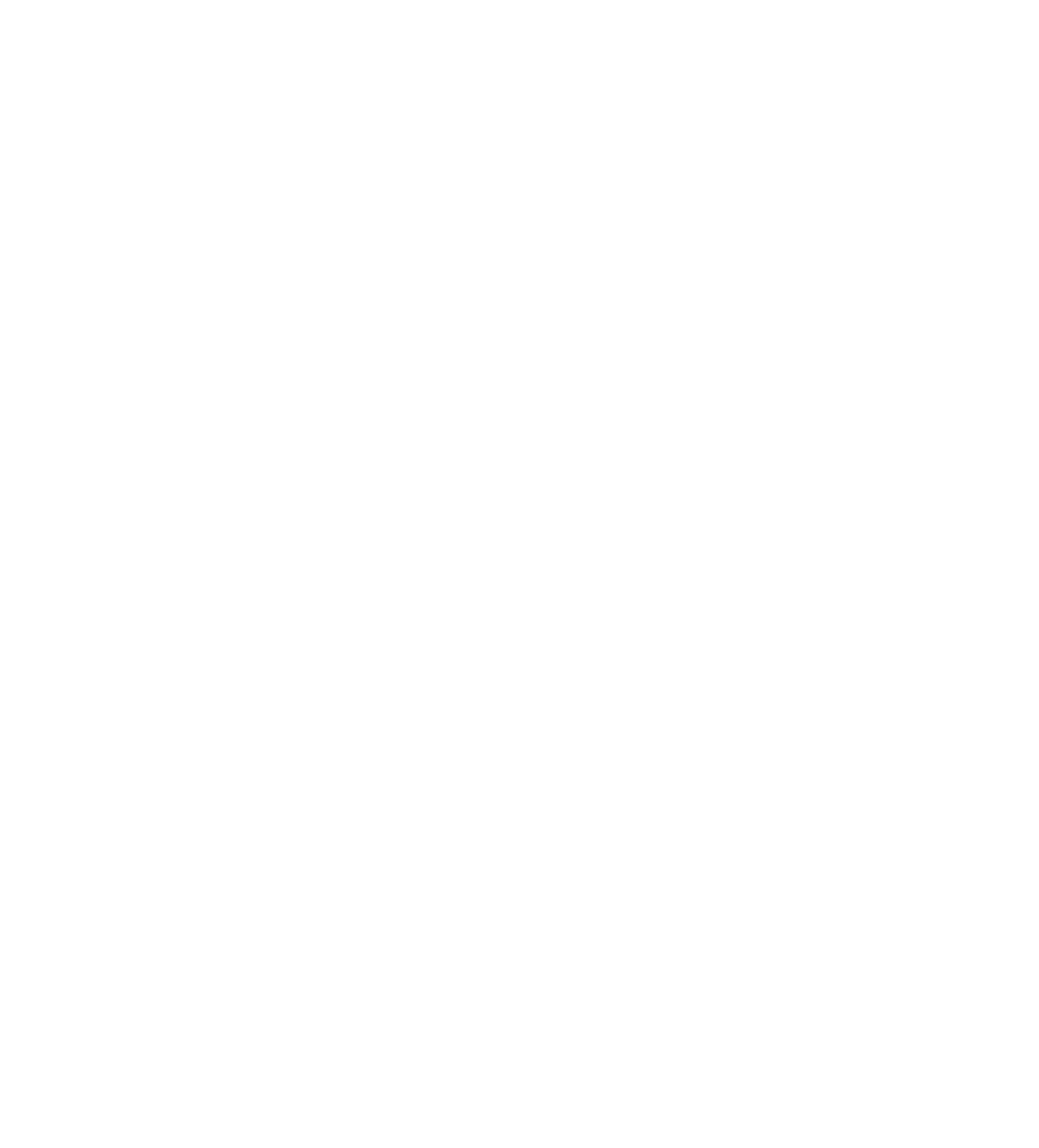 NatunAI